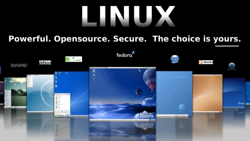 linux1100
