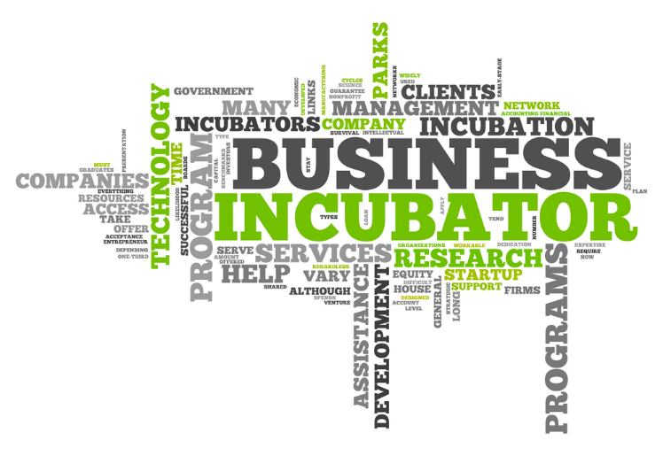business-incubator-media