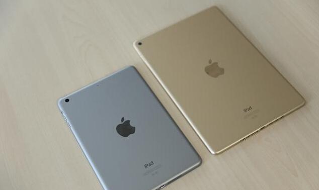 iPad Air 2  iPhone 6  55%