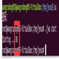 ubuntu16.04-x64ϵͳJexus web server.NetCoreͶ˿ڷĲ룡